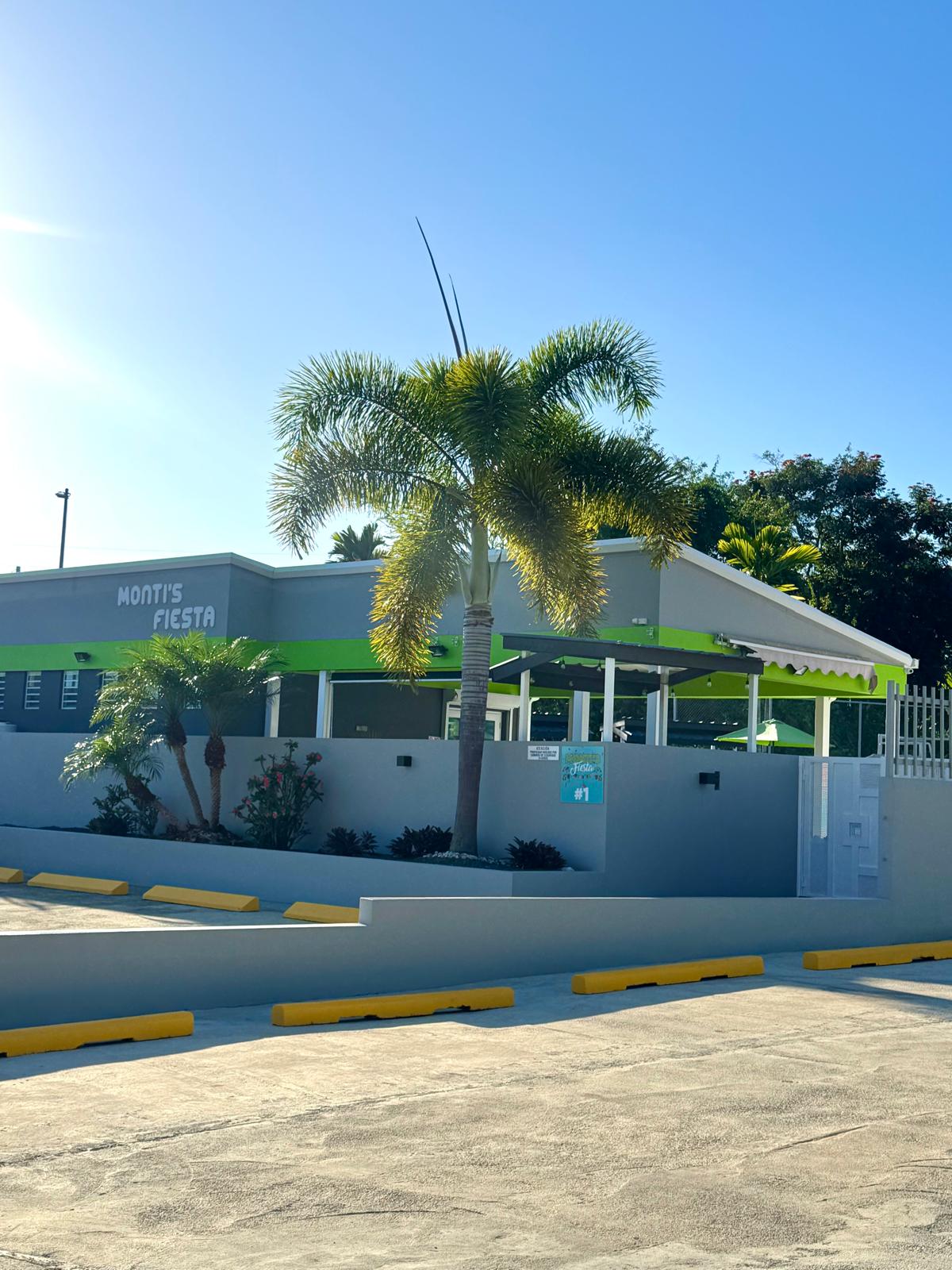 Montis Fiesta #1 - 